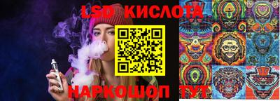 ПСИЛОЦИБИНОВЫЕ ГРИБЫ Владикавказ