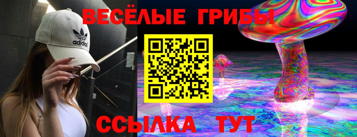 Галлюциногенные грибы Magic Shrooms Джанкой